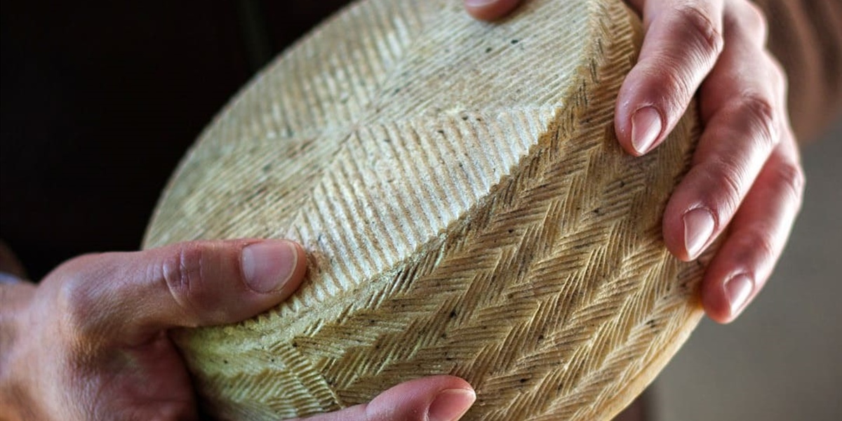 Made in Cordoba: Quesos Calaveruela. Quesos de oveja y mantequilla artesanal de nivel mundial