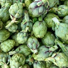 The Artichoke: A Source of Health