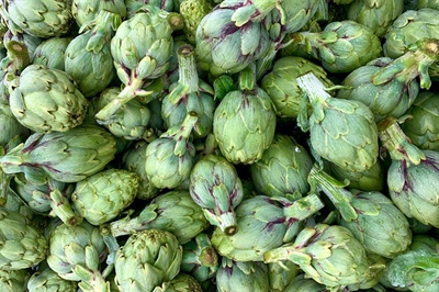 The Artichoke: A Source of Health