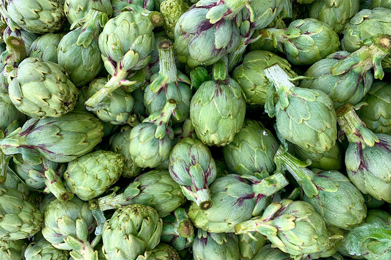 The Artichoke: A Source of Health
