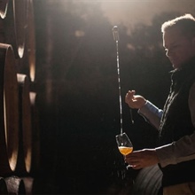 Jerez et ses vins : élégance, tradition et prestige international