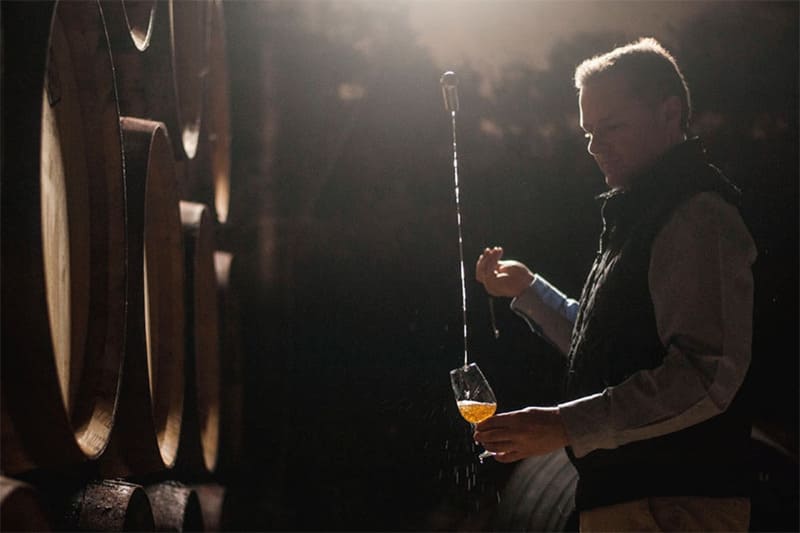 Jerez et ses vins : élégance, tradition et prestige international