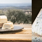 Fromage de chèvre ou fromage de brebis ?