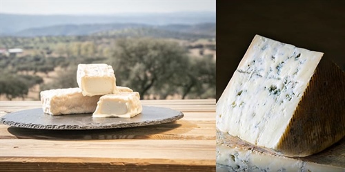 Fromage de chèvre ou fromage de brebis ?