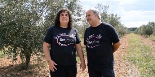 Set d’Oli, l'art d'une huile d'olive extra vierge exceptionnelle