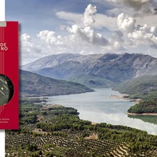 Jaén : la terre de l'huile d'olive extra vierge