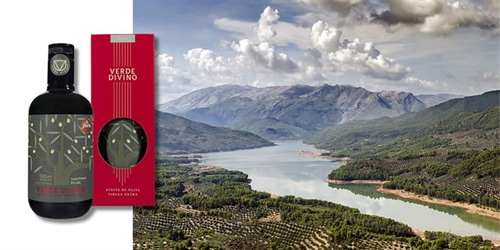 Jaén : la terre de l'huile d'olive extra vierge