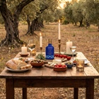 KYLATT: one of Spain's best Arbequina extra virgin olive oils