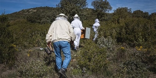 Spanish honey — there's simply no better!