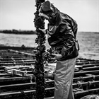 ROI&Co : l'excellence des conserves galiciennes gastronomiques