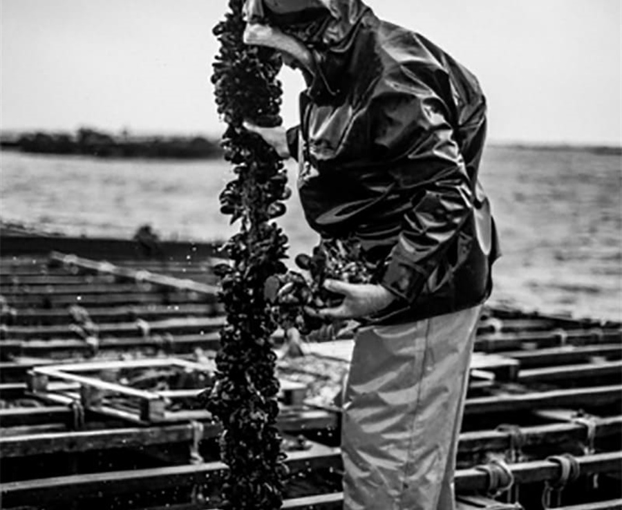ROI&Co : l'excellence des conserves galiciennes gastronomiques