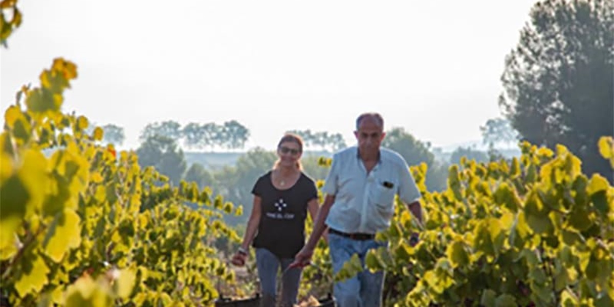 Vins El Cep: Premium Cavas that define the Penedès tradition since 1448