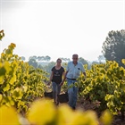 Vins El Cep : cavas haut de gamme qui définissent la tradition du Penedès depuis 1448