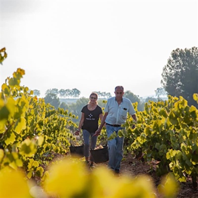 Vins El Cep: Cavas Premium que definen la tradición del Penedés desde 1448