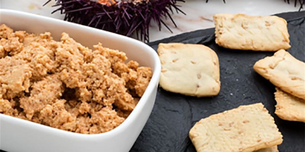 Fine Dining in a Can: Gourmet Recipes and Perfect Pairings with Our Wines