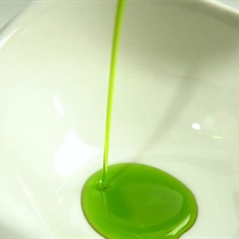 Elogio Premium : l'essence de l'excellence espagnole dans l'huile d'olive vierge extra