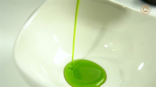 Elogio Premium : l'essence de l'excellence espagnole dans l'huile d'olive vierge extra