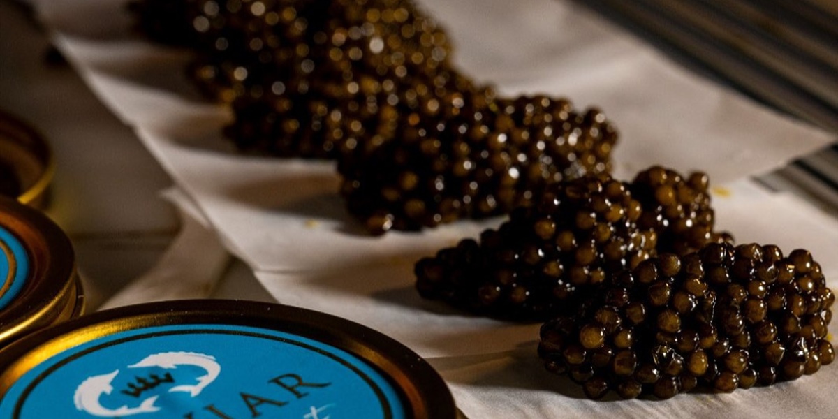 Caviar: el instante donde el tiempo se detiene
