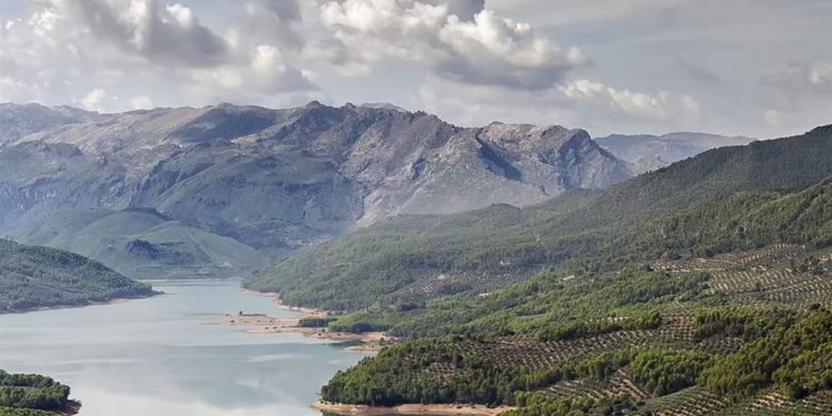 Made in Jaén: the world's cradle of Extra Virgin Olive Oil