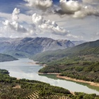 Made in Jaén: the world's cradle of Extra Virgin Olive Oil