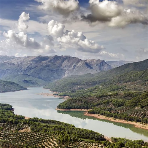 Made in Jaén: the world's cradle of Extra Virgin Olive Oil