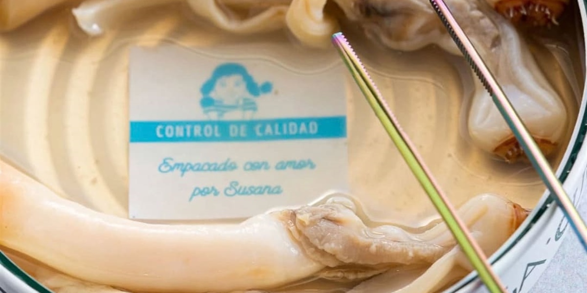 Navajas galiciennes Premium : dégustez-les comme elles le méritent