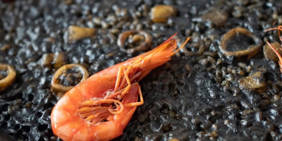 Riz de l'Albufera : le secret est dans le grain