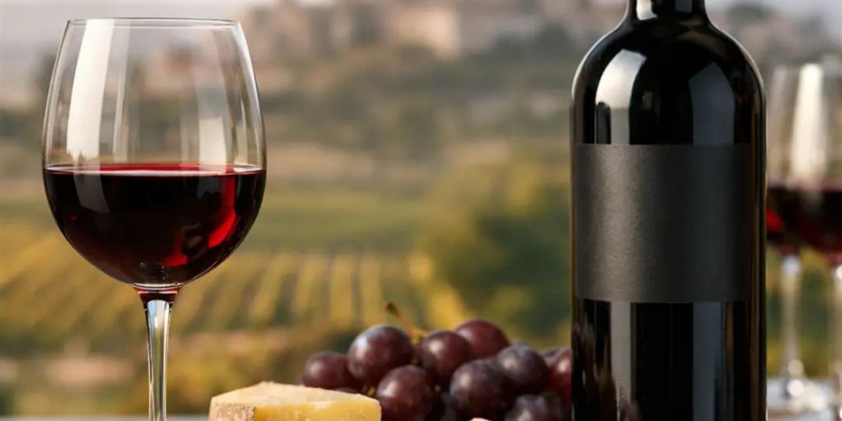 Vin Rioja premium : comment bien le choisir