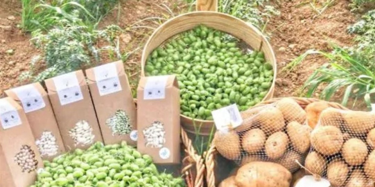 Spanish gourmet legumes: which to choose