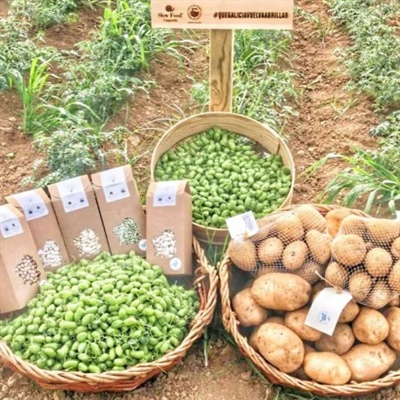Spanish gourmet legumes: which to choose
