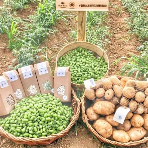 Spanish gourmet legumes: which to choose