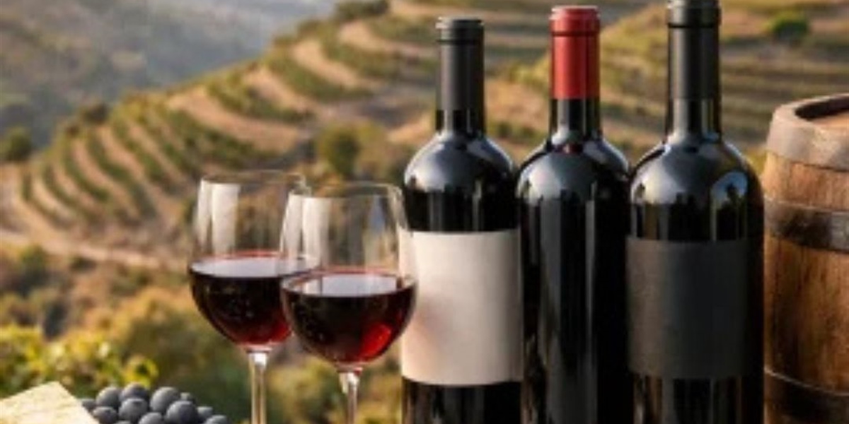 Cómo elegir vino Priorat premium de verdad