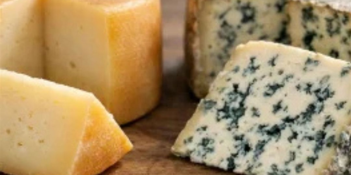 Queso Idiazabal vs Cabrales: cuál elegir