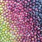 Picual vs. Arbequina Olive Oil: Which One Should You Choose?