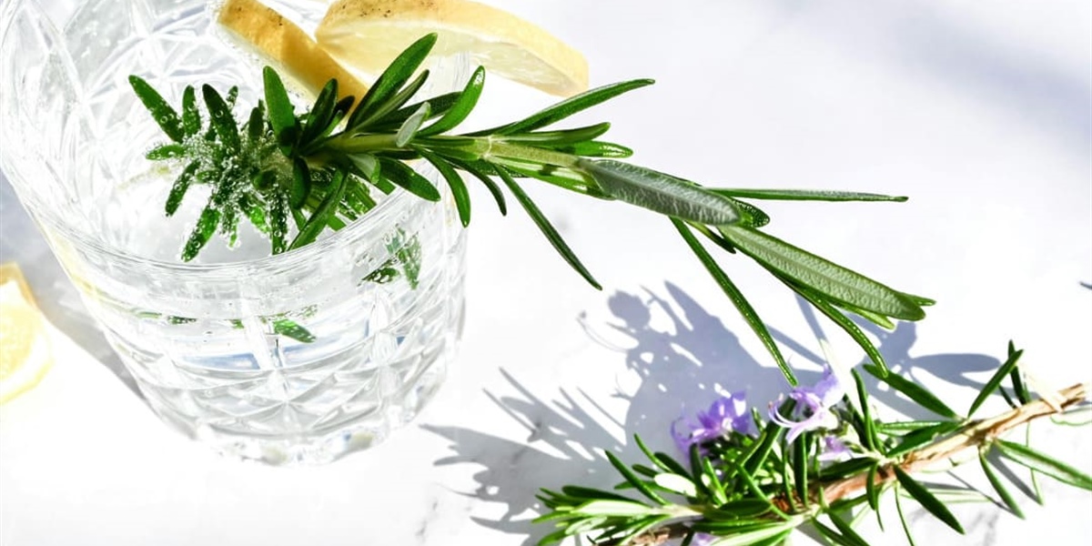 3 cocktails à l'huile d'olive extra vierge qui transformeront votre apéritif en une expérience gourmande
