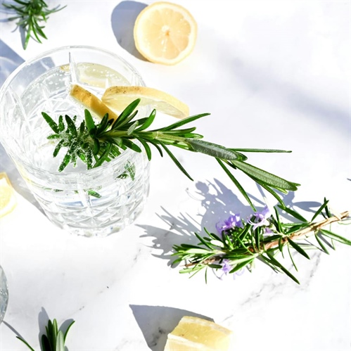 3 cócteles con AOVE que convertirán tu aperitivo en una experiencia gourmet