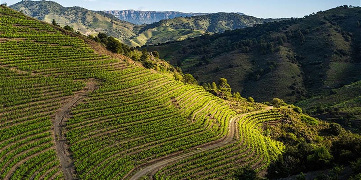 El Priorat, paraíso gastronómico