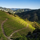 El Priorat: a culinary paradise