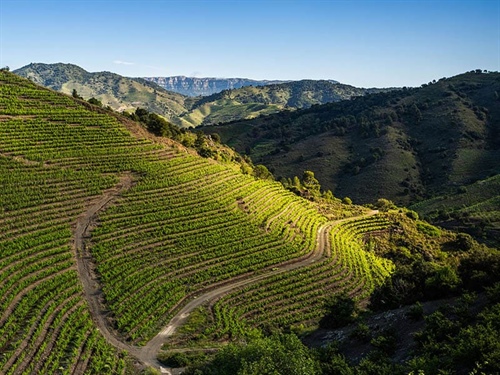 Le Priorat, paradis gastronomique