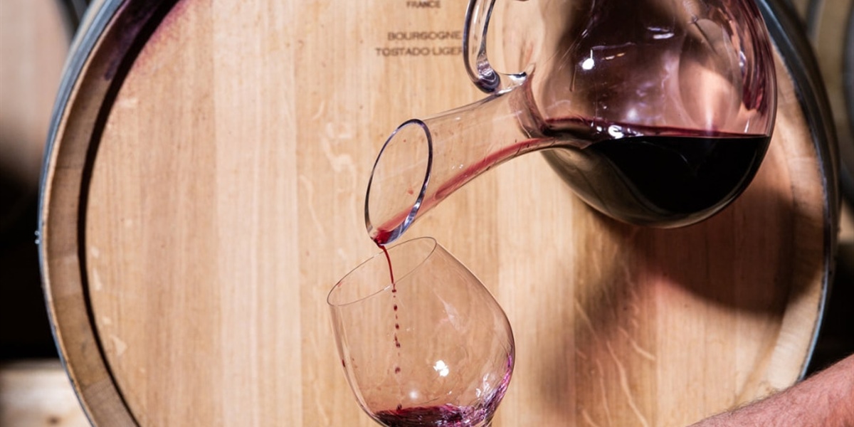 Rioja ou Priorat : quel vin espagnol choisir ?