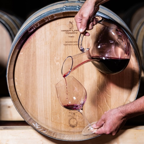 Rioja or Priorat: Which Spanish Wine to Choose?