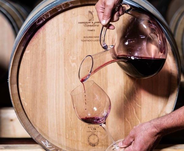 Rioja o Priorat: dos grandes vinos. ¿Una decisión imposible?