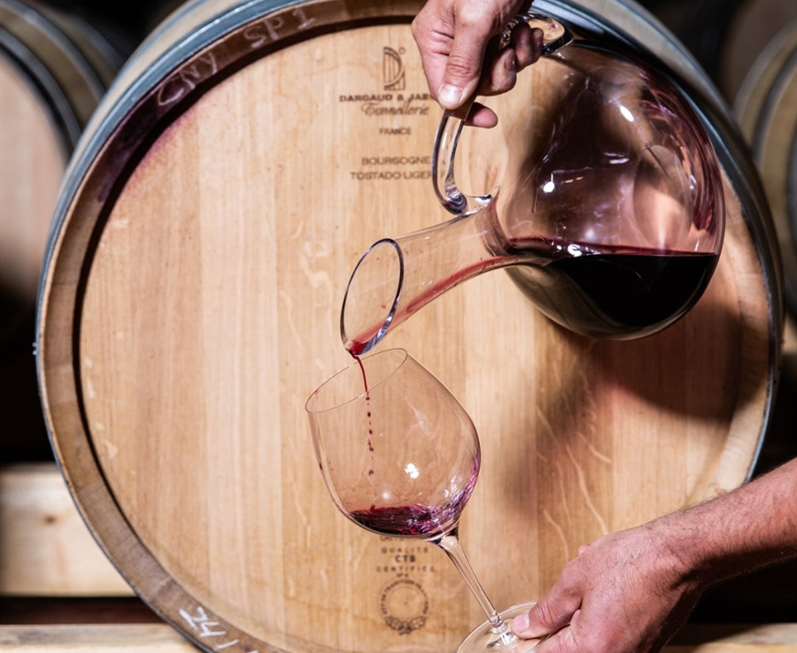 Rioja o Priorat: dos grandes vinos. ¿Una decisión imposible?
