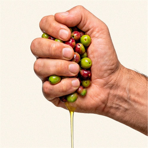 4 aceites, 4 personalidades: descubre a qué sabe un gran AOVE