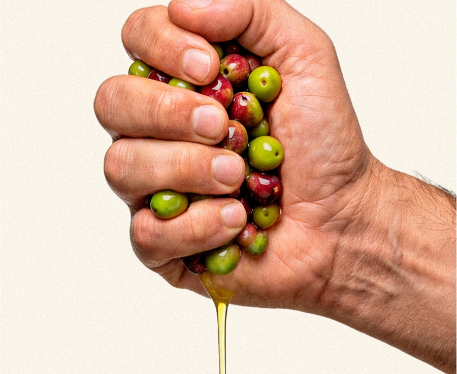 4 aceites, 4 personalidades: descubre a qué sabe un gran AOVE