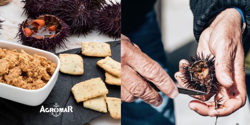Haute cuisine en boîte : recettes gastronomiques et accords parfaits avec nos vins