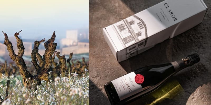 Vins El Cep : Cavas premium qui définissent la tradition du Penedés depuis 1448