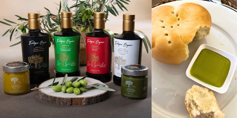 Olive Cornicabra : intensément espagnole, intensément délicieuse