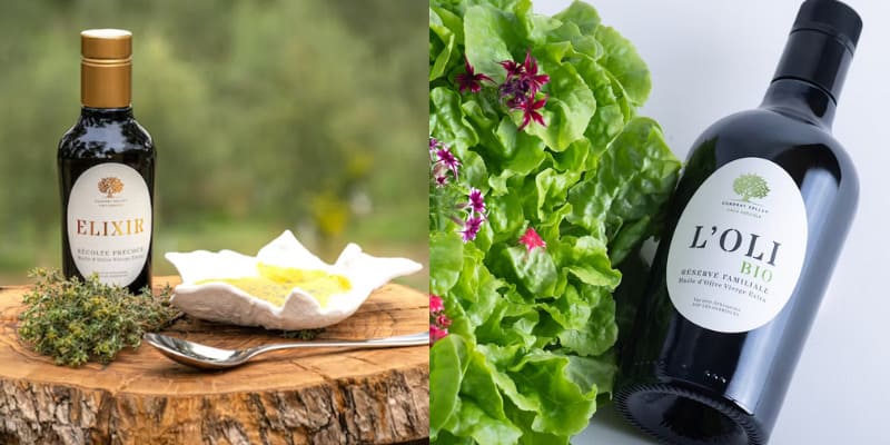 The best-kept secret for lovers of good oil: Arbequina extra virgin olive oil