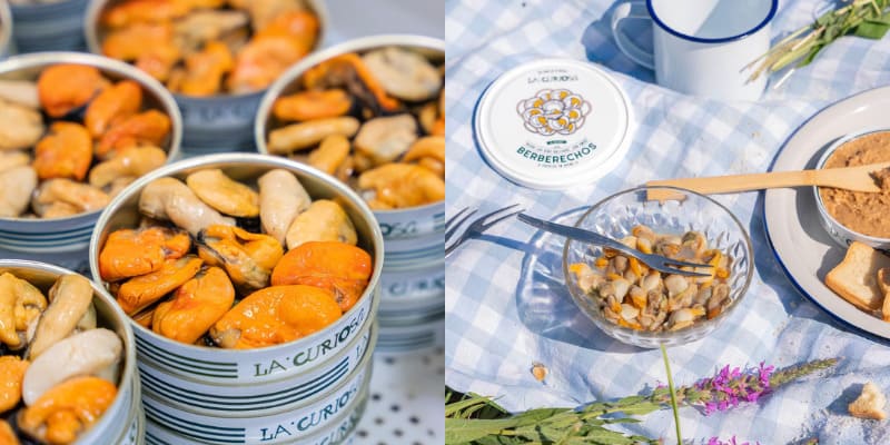 Conserves Premium : tradition, saveur et recettes qui font craquer